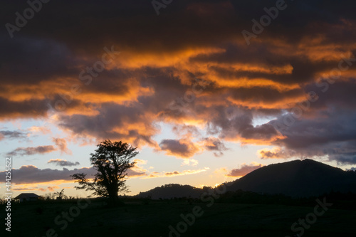 Silhouette of trees and clouds at sunset outdoors in rural Guatemala, inspiration reflection of heavenly creation.