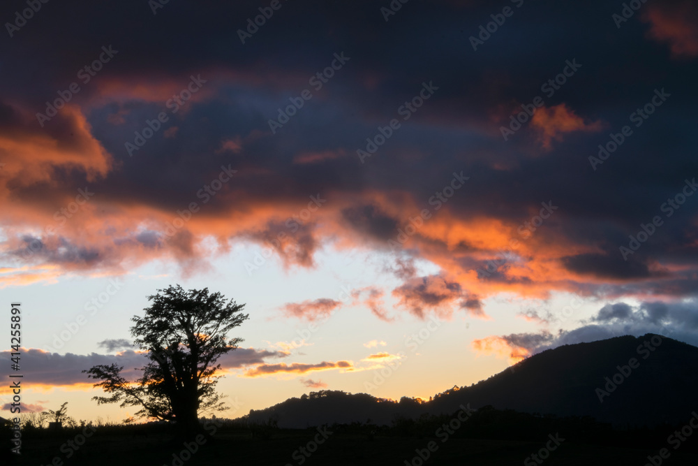 Silhouette of trees and clouds at sunset outdoors in rural Guatemala, inspiration reflection of heavenly creation.