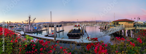 Fotografia A panorama of a calm harbor of ships under a pink sunset with red and pink bougainvillea plants in the foreground