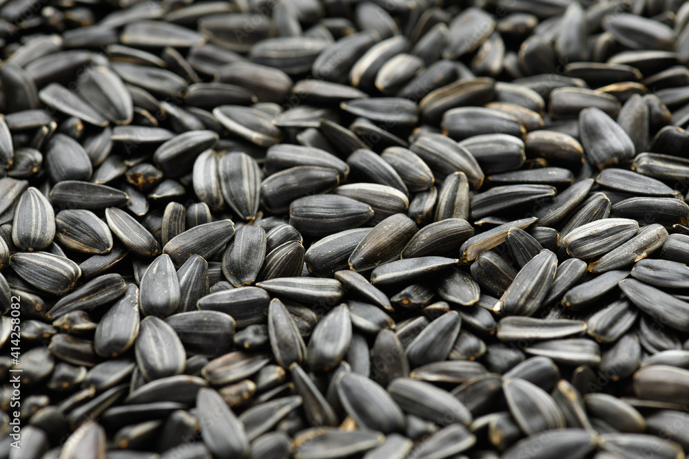 sunflower seeds background, closeup of roasted seeds sunflower seeds background, closeup of roasted seeds