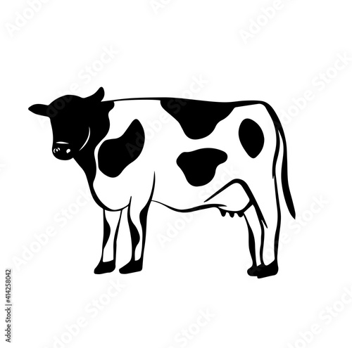 Cow icon logo hand drawn in vector style on white background. Cow illustration in old style