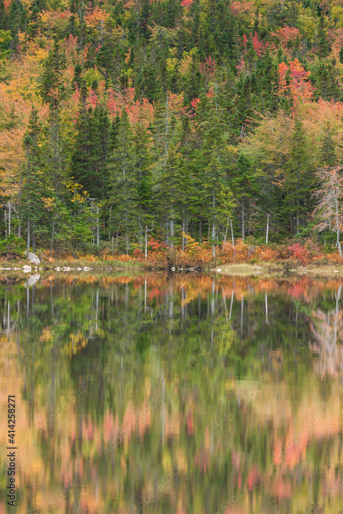 Obraz premium Canada, Nova Scotia, Cabot Trail. Neils Harbour, Cape Breton Highlands National Park autumn foliage and reflection.