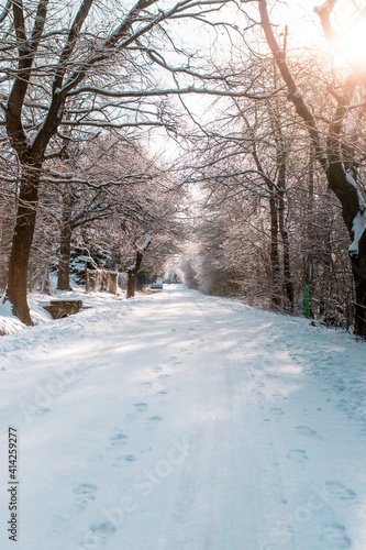 snow covered road