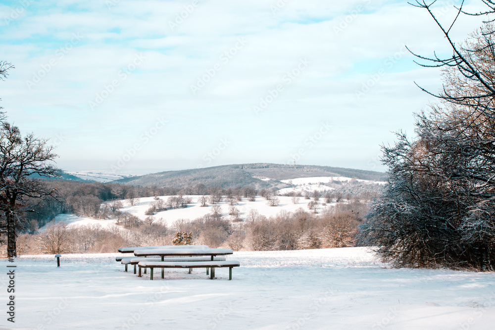 winter landscape with bench 