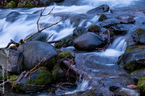 stream in the forest