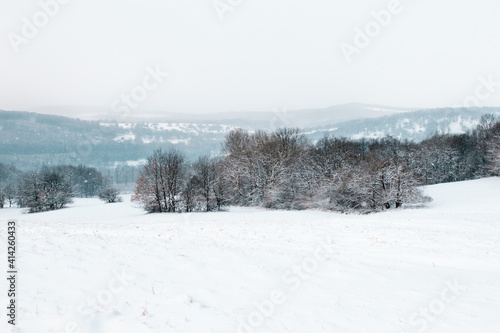 landscape in winter © fanynka_u