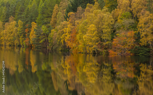 Fototapeta Naklejka Na Ścianę i Meble -  Loch Faskally Autumn