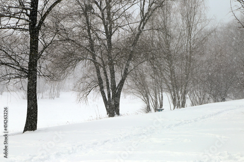 landscape in a blizzard with trees © Сергей Луговский