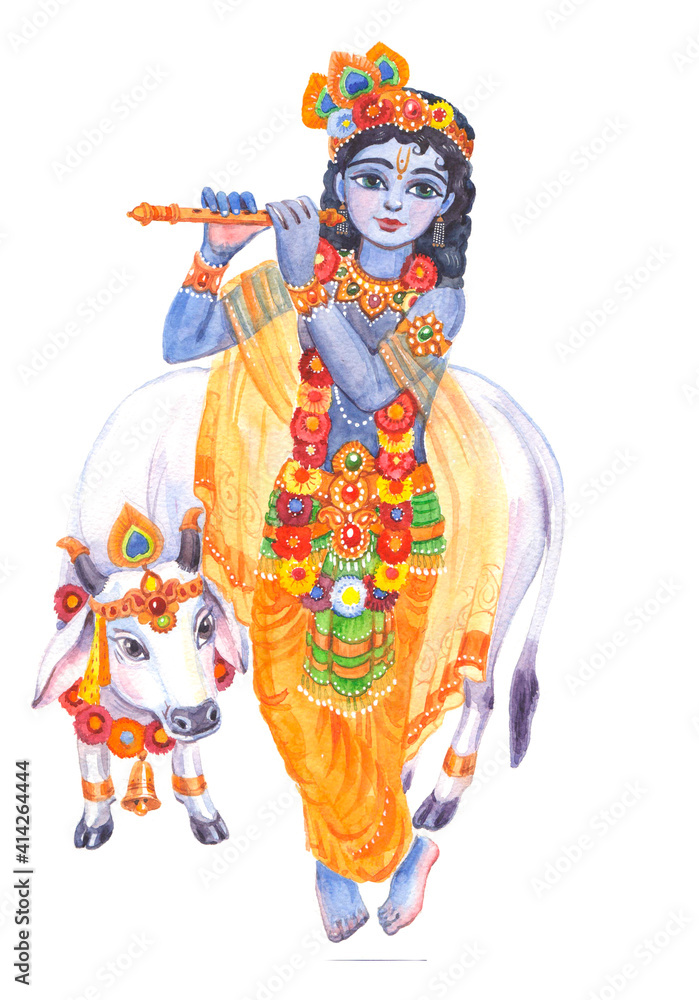 Lord Krishna is a young handsome cowherd boy playing the flute and a white cow is listening to the melody near him. Watercolor drawing for the festival Krishna Janmashtami.
