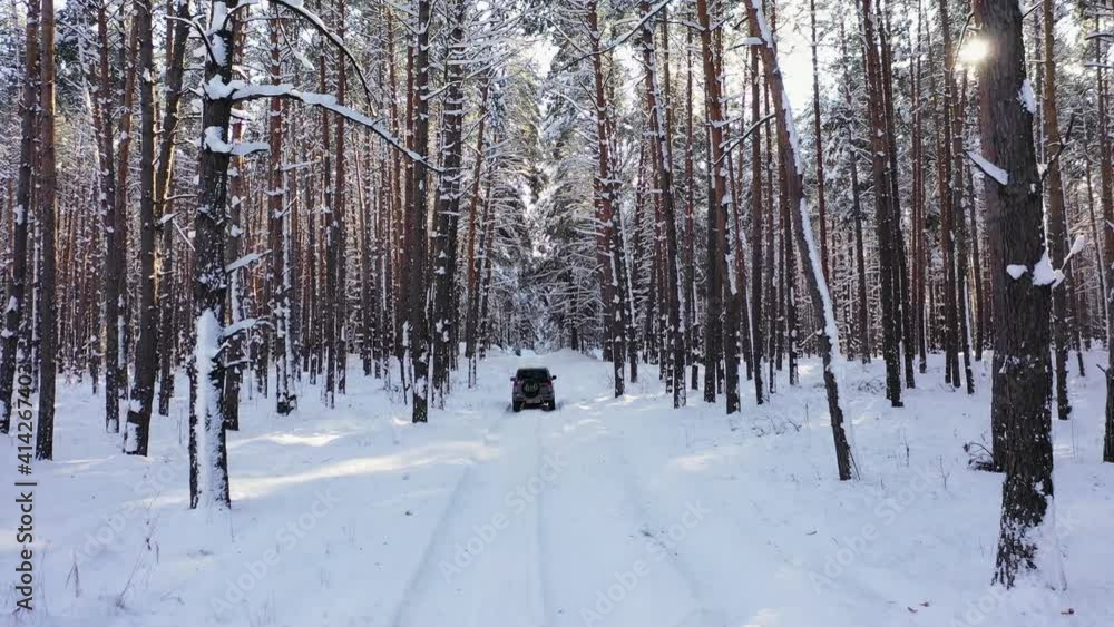 SUV car drives through a winter forest on a sunny day aerial view SUV car drives through a winter forest on a sunny day aerial view