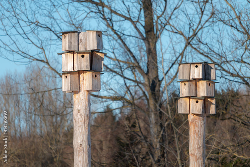 Two towers with multiple birds houses at winter season day time