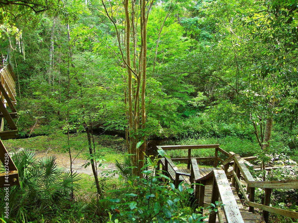 Wooden Stairs Lead to Green Nature Trail Wooden Stairs Lead to Green Nature Trail