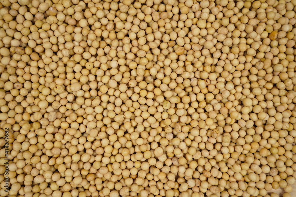 Closeup of ripe organic soybeans texture background, top view, healthy nutritious food Closeup of ripe organic soybeans texture background, top view, healthy nutritious food