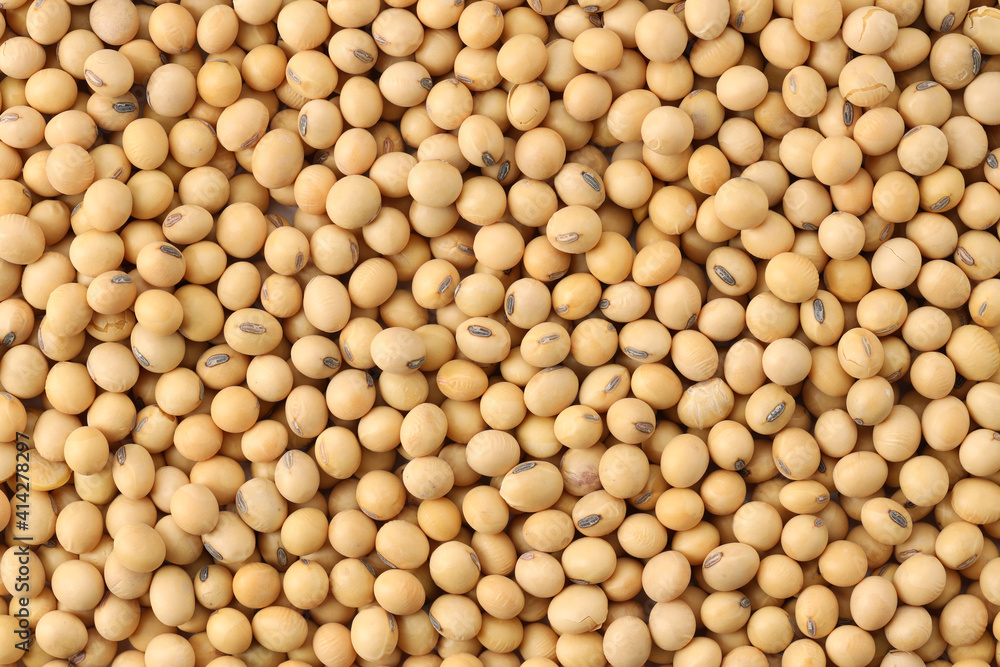 Close up soybeans background top view using for your advertising Close up soybeans background top view using for your advertising