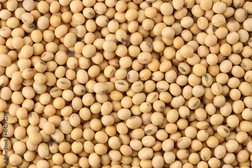 Close up soybeans background top view using for your advertising