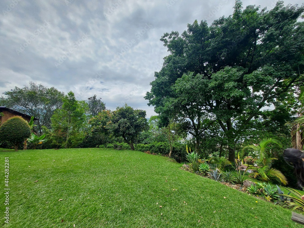 Naklejka premium landscape with trees and clouds