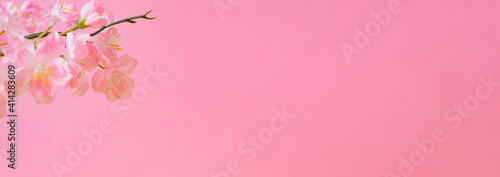 Cherry blossoms and pink walls.  桜とピンク色の壁 © Kana Design Image