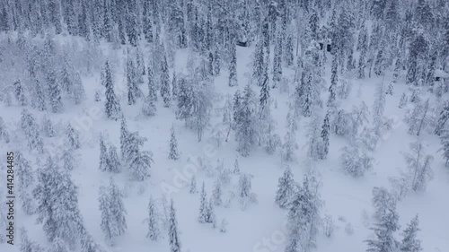 Snow covered spruce tree forest on top of a fell in Pyhä-Luosto National Park, Lapland, Finland, aerial drone reveal shot