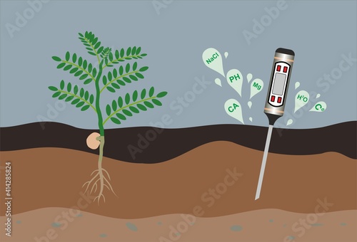 Agricultural soil test and results. Digital soil analysis