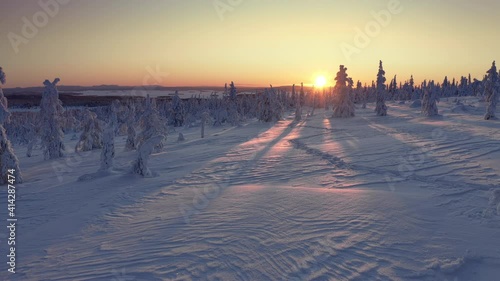 Sunset through snow covered forest hill of Riisitunturi National Park, Lapland, Finland, aerial drone shot