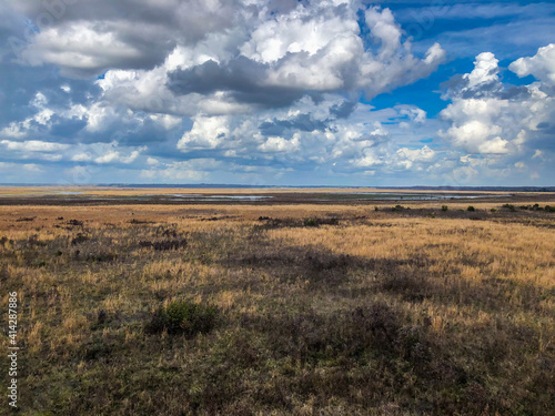 Paynes Prairie  Florida. clouds over the field