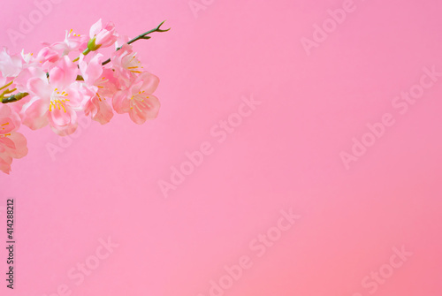 Cherry blossoms and pink walls. 桜とピンク色の壁 © Kana Design Image
