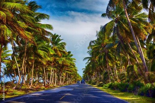 tropical coastal road through the palm tree grove near the ocean