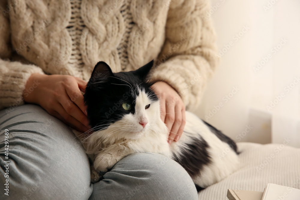 Woman stroking adorable cat in room, closeup