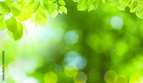 Beautiful green leaves on blurred background  space for text. Spring season