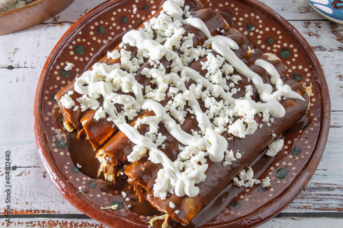 close up of enchiladas or mole wrapped with cream and fresh cheese. gourmet mexican food photo