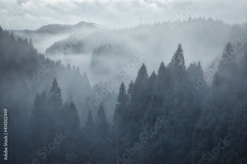 日本の霧の森NO写真素材集