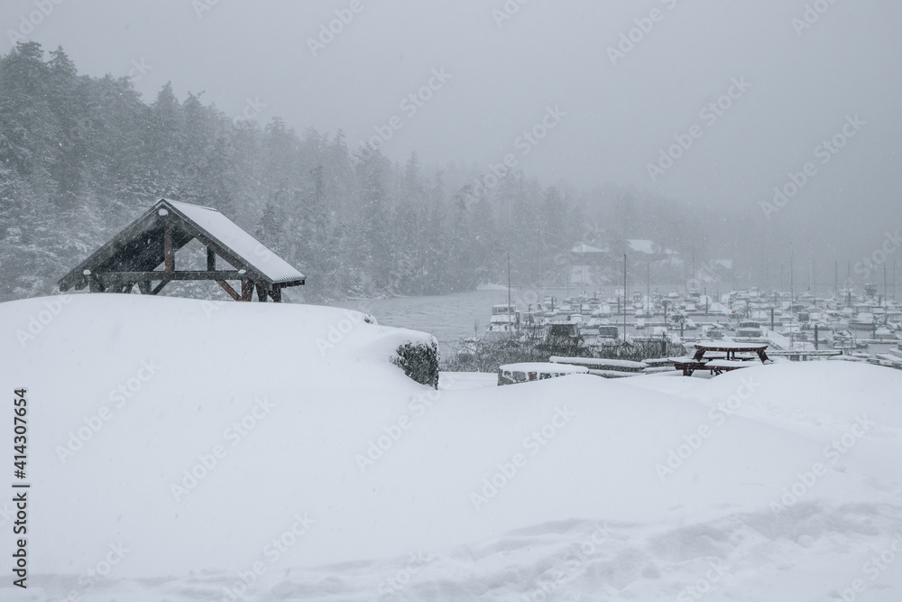 A marina on the coast of Vancouver Island in a snow storm A marina on the coast of Vancouver Island in a snow storm