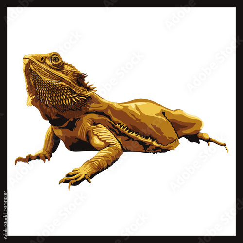 Vector image of a reptile. Isolated bearded dragon illustration.