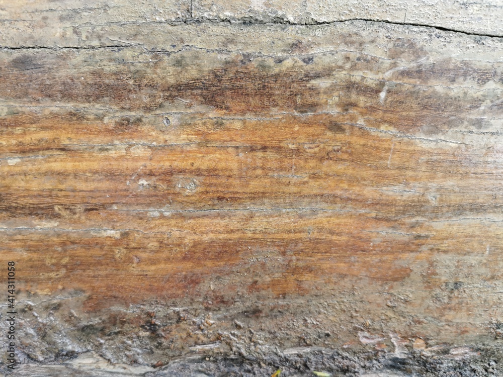 close view of vintage wood texture