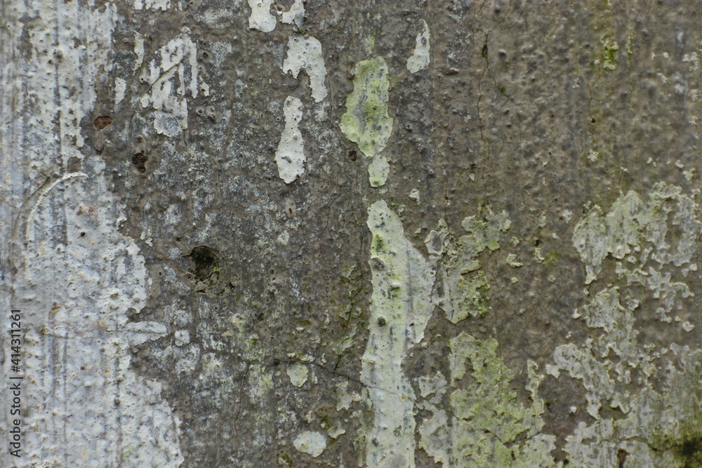 Obraz premium Old wall surface texture background