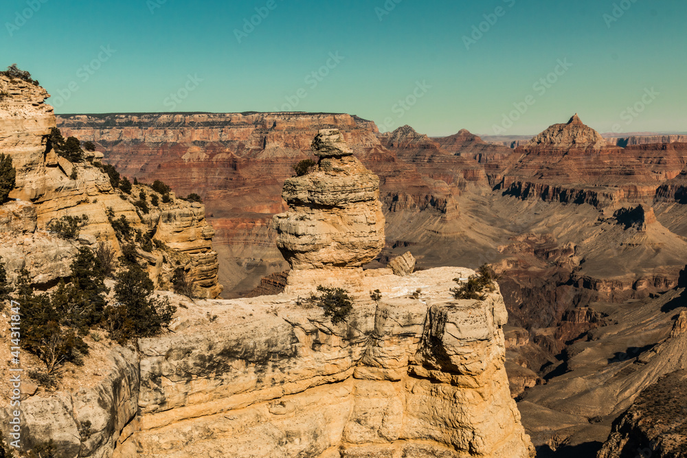 Duck On A Rock and Zoroaster Temple From The South Rim, Grand Canyon National Park, Arizona, USA
