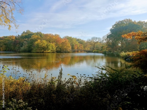 Fall in Central Park, New York - November 2020
