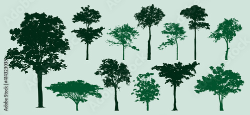 trees silhouettes
