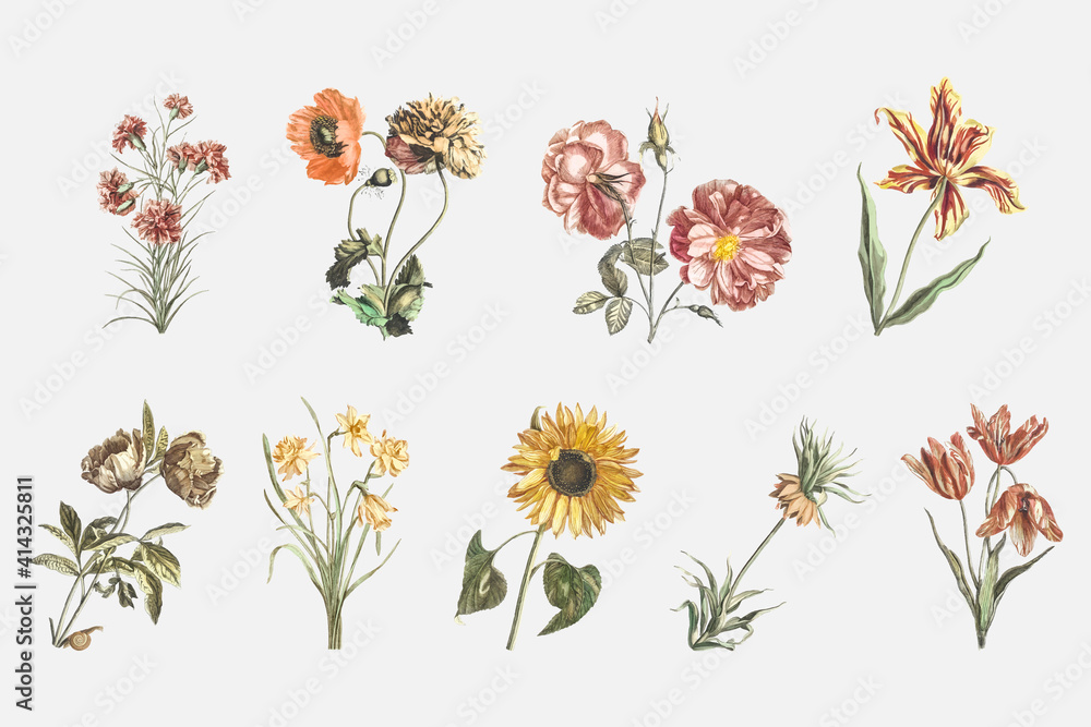 Vintage flower vector hand drawn illustration set Stock Vector | Adobe ...