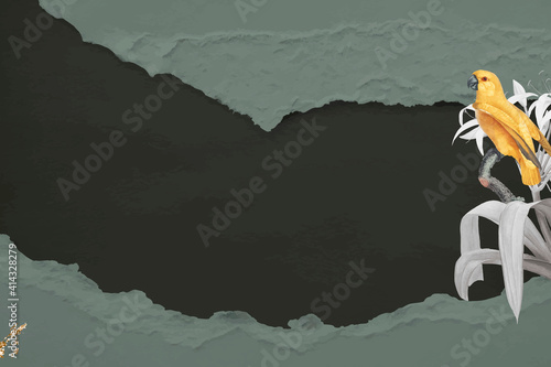 Yellow Senegal parrot and white lily with frame vector