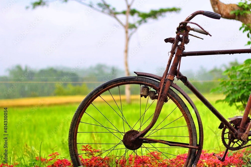 Obraz premium bicycle in the park