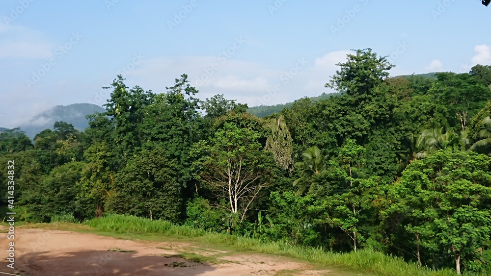 Fototapeta premium empty field with forest background