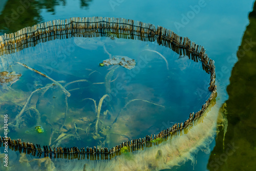 Plants within wicker container growing in water of man made pond photo