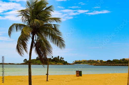 coconut tree on Vitória beach, in Espírito Santo, Brazil