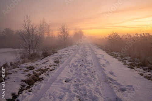 The road leading dike between the lakes during the winter, frosty dawn © Mike Mareen