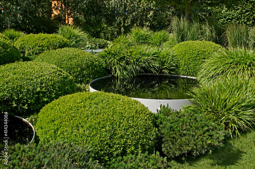 Topiary Clipped Box hedges