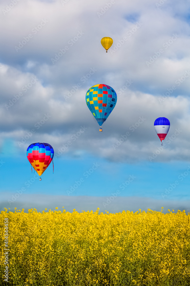 Naklejka premium Hot Air Balloons