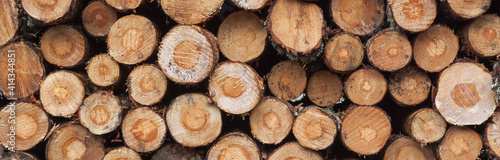 Logging  deforestation of the planet. stacked logs.