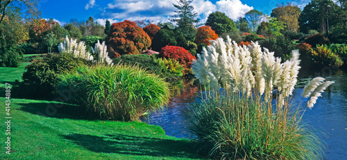 Fotografie Colourful autumn scene by the lake at a Parkland garden