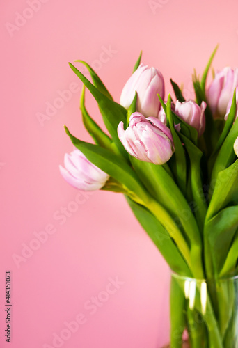 Close up of a bunch of pink and white tulips in a vase against warm pink background with copespace. 8 march, mother's day, birthday. Vertical card © piksik